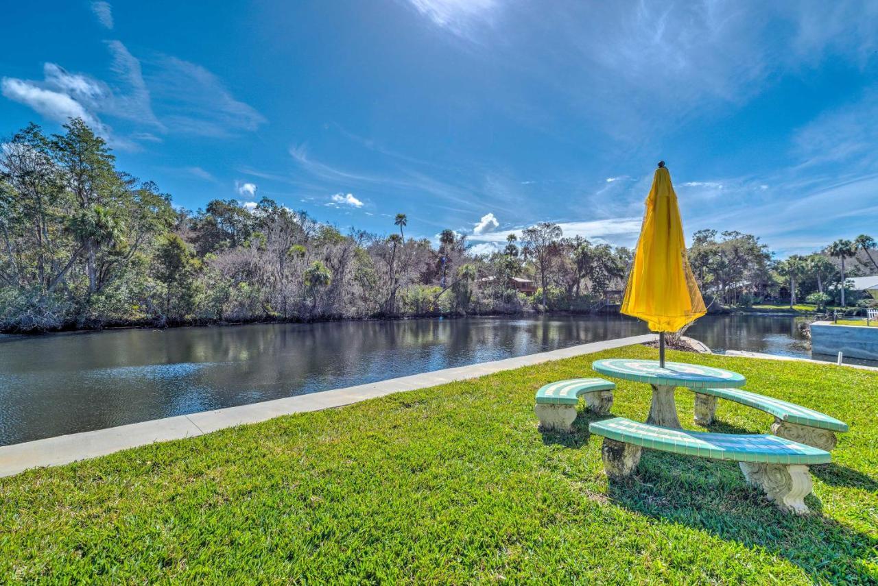 Withlacoochee River House With Dock And Kayaks! Yankeetown Dış mekan fotoğraf